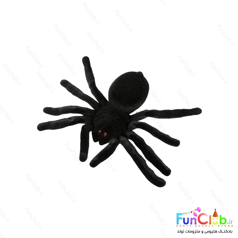 رتیل مخملی بزرگ تک عددی