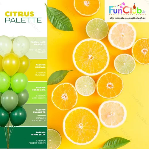 پکیج بادکنک هلیومی پالت رنگ Citrus (20 عددی)